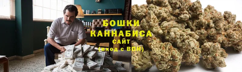 купить наркотики сайты  Белореченск  Шишки марихуана SATIVA & INDICA 